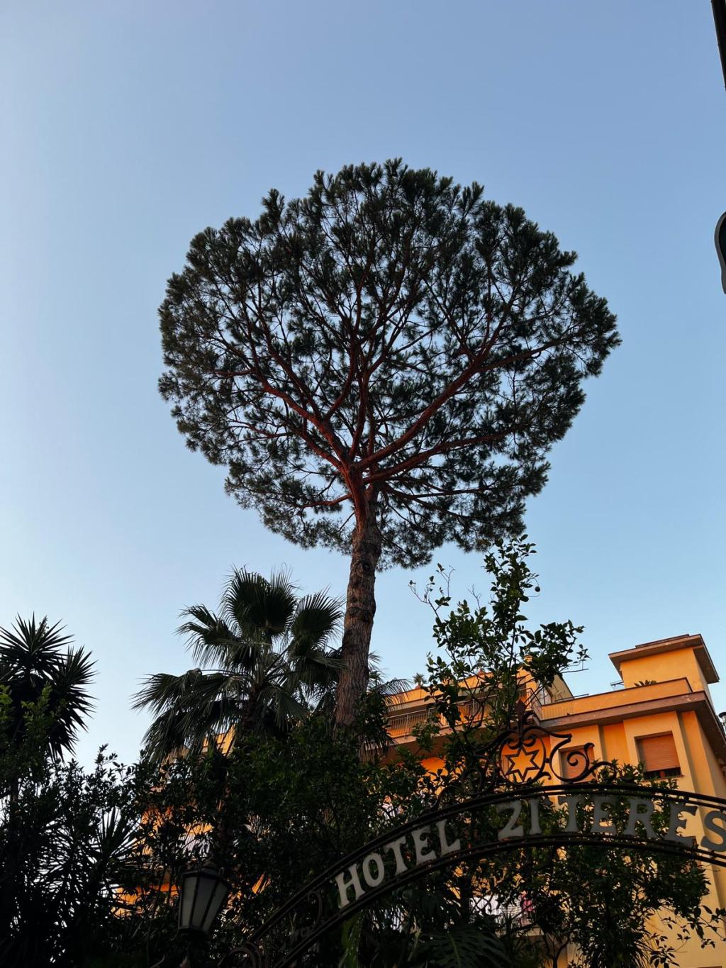 “Adalet ve Ruh&nbsp;sağlığı”